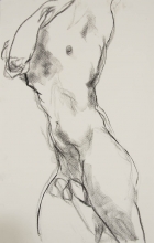 sketch of an elongated torso