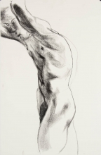 sketch of male torso looking down