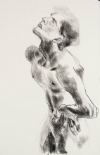 sketch of male nude torso looking up