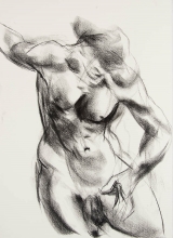 sketch of contracting torso in movement