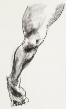 sketch of a leg