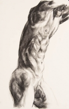 study of a male torso from the side