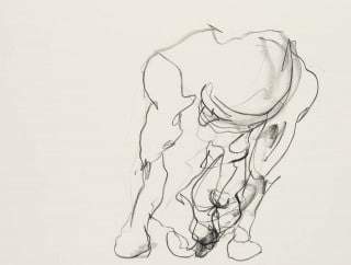 gesture sketch of crawling figure